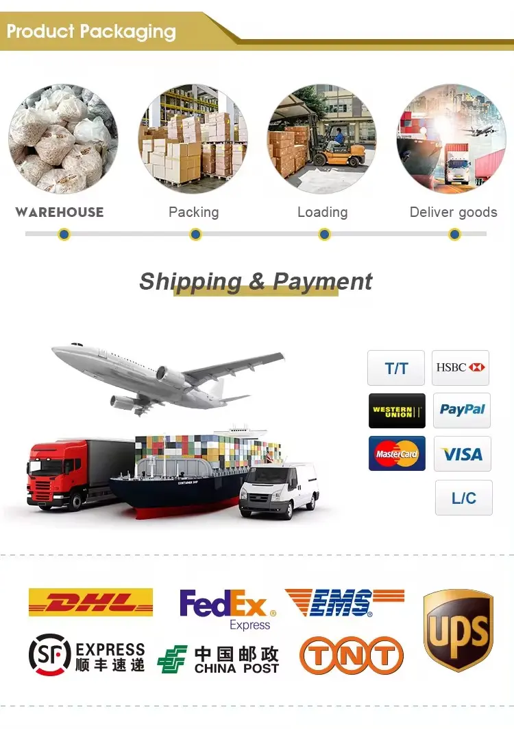 Iron wire buckle (10)